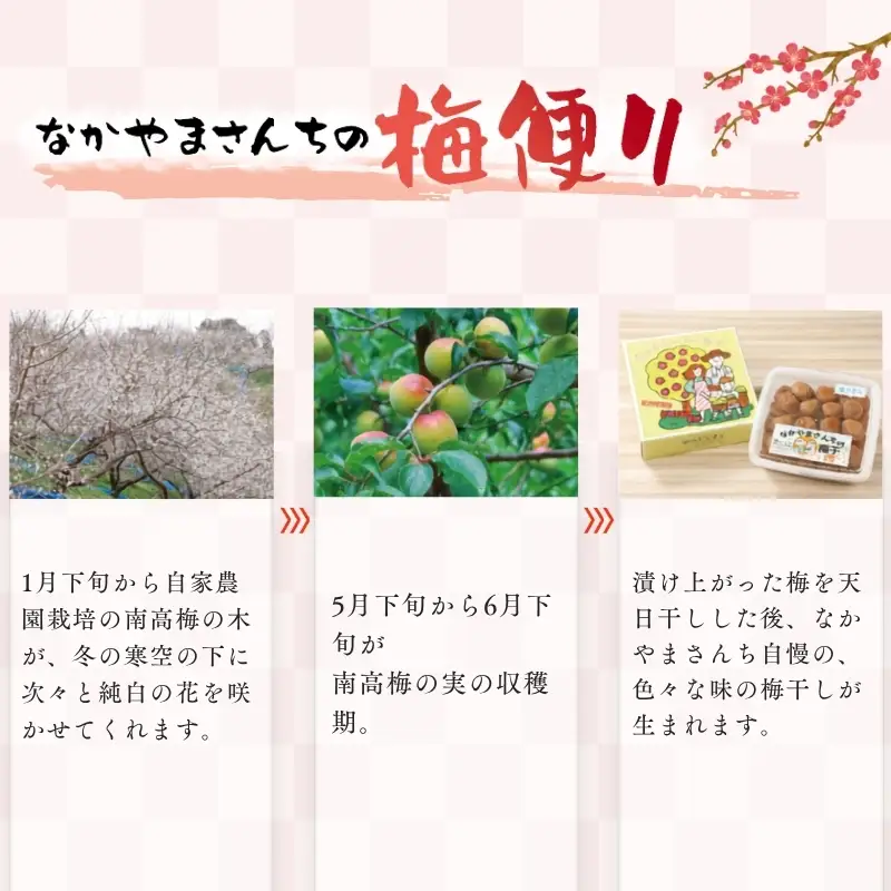 紀州南高梅　うす塩味とかつお風味セット　塩分5％（1kg×2） なかやまさんちの梅干　うめ　ウメ【nky001】