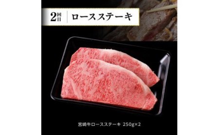 牛肉 【定期便】宮崎牛６ヶ月定期便Aスライスステーキ 焼肉