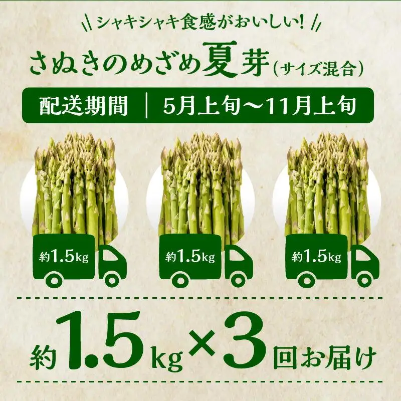 香川県産アスパラガス定期便K