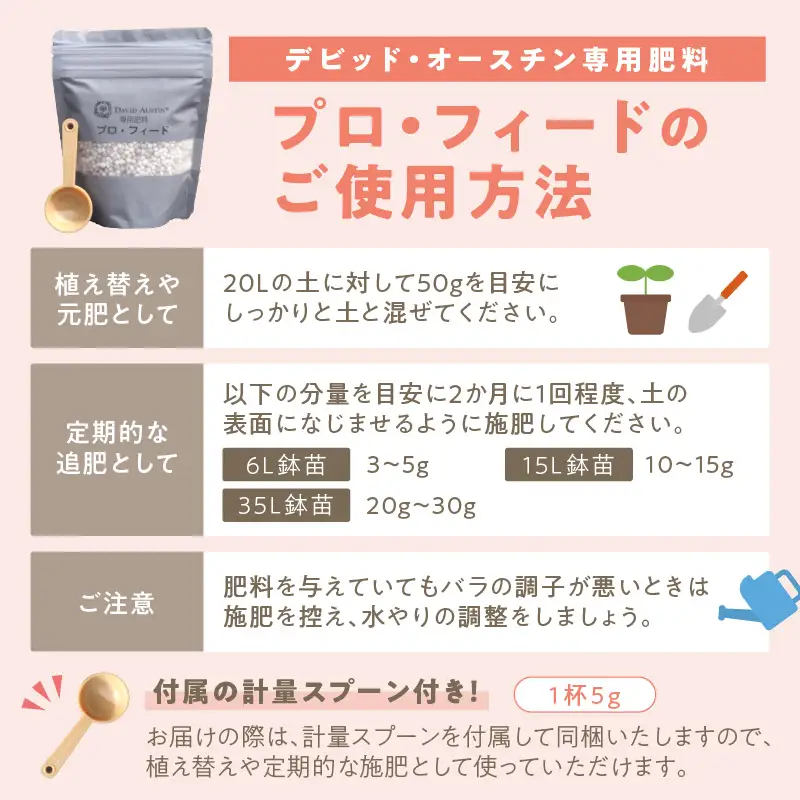 【イングリッシュローズ】 デビッド・オースチン バラ鉢苗 （バラ専用肥料付）【品種指定不可】 バラ ばら イングリッシュローズ バラ鉢苗 鉢苗 花【025D-003】