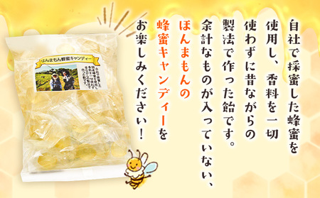 ほんまもん国産蜂蜜キャンディー 150g×6袋 村上養蜂《90日以内に出荷予定(土日祝除く)》和歌山県 紀の川市はちみつ