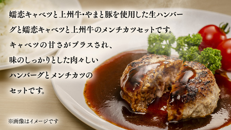 嬬恋キャベツのハンバーグ ＆ 上州牛 キャベツ メンチカツ ・ コロッケ セット [AH003tu]