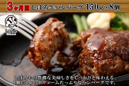 定期便 北海道 しほろ ハンバーグ 全4回 しほろ牛 道の駅 ピア21しほろ 北秀牛 ビーフ ハンバーグステーキ beef 牛肉 赤身肉 国産牛 肉 セット 加工品 おかず 惣菜 お惣菜 国産 冷凍 詰合せ お取り寄せ 送料無料 十勝 士幌町【X23a】