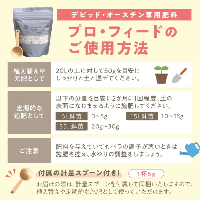 【 イングリッシュローズ 】 デビッド・オースチン つるバラ鉢苗（バラ専用肥料付） 花 バラ 薔薇 ばら インテリア ガーデニング フラワー つるバラ鉢苗 鉢苗 植物 薔薇苗 フラワー 初心者【025D-004】