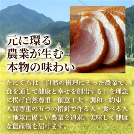 「但馬鴨」しゃぶしゃぶセット(小)3～4人前【配送不可地域：離島】【1266626】