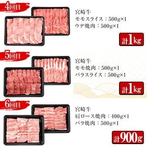 ＜定期便・6回(連続)＞宮崎牛・定期便B(6ヶ月)国産 宮崎県産 宮崎牛 牛肉 ステーキ 焼肉 A4 肩ロース ウデ ロース ヒレ【MI003】【(株)ミヤチク宮崎加工センター】