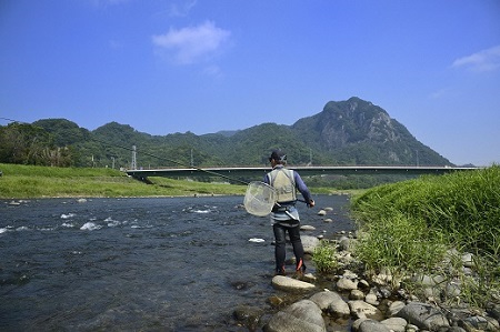 狩野川の冷凍鮎詰め合わせ