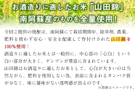 本格米焼酎 原酒 南阿蘇 1本720ml《60日以内に出荷予定(土日祝除く)》熊本県 南阿蘇村 SOCKET 焼酎 山田錦 酒