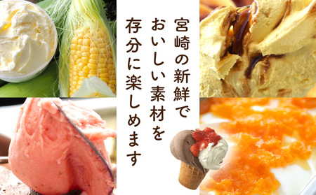 季節のおすすめ ジェラート 8種 セット 120ml×8個 8個 8種類 詰め合わせ 食べ比べ ジェラート専門店 リッチミルク ジェラテリア カップ アイス スイーツ デザート 冷凍 菓子 お菓子 おやつ グルメ お取り寄せ ギフト