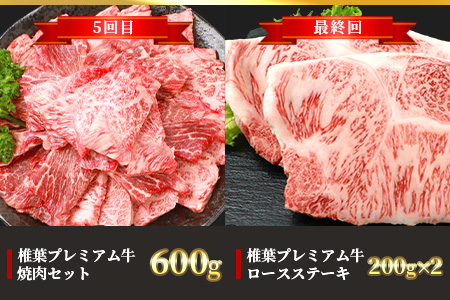 【定期便6回】総重量3.1kg 椎葉プレミアム牛満喫定期便≪ステーキ・すき焼き・しゃぶしゃぶ・焼き肉≫ 国産牛 黒毛和牛 和牛 牛肉 赤身 肉 定期便 ステーキ すき焼き しゃぶしゃぶ 焼肉 バーベキュー TK-56