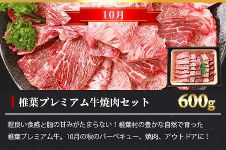 【定期便3回】総重量1.8kg 椎葉プレミアム牛 大自然の中で味わうBBQ定期便≪焼き肉・ステーキ≫ 国産牛 黒毛和牛 和牛 牛肉 赤身 肉 サーロイン ステーキ バーベキュー 焼肉 TK-60
