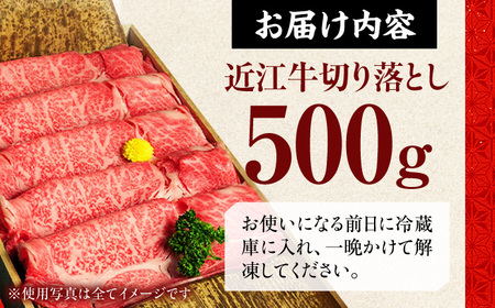 近江牛 すき焼き用 切り落し 500g 元三フード 近江牛 [BIBH005]