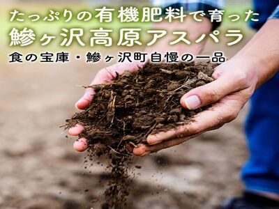先行予約 2026年 岩木山高原 超極太 アスパラガス 約1kg 2L以上 5月6月発送 アスパラ 野菜 旬の野菜 産地直送 季節の野菜 春野菜 青森 青森県 鰺ヶ沢町