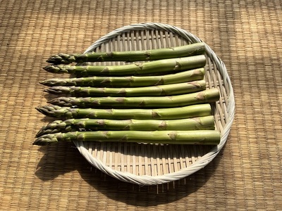 アスパラガス 先行予約 夏アスパラガス 約1kg+100g M～2L 混合 川田農園 アスパラ グリーンアスパラ 野菜 夏野菜 旬 旬の野菜 産地直送 2026年 2026 予約 青森 冷蔵 冷蔵配送 7月～9月発送