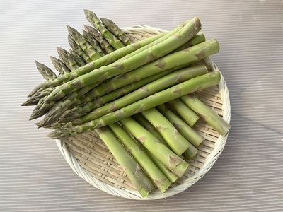 アスパラガス 先行予約 夏アスパラガス 約1.5kg+100g M～2L 混合 川田農園 アスパラ グリーンアスパラ 野菜 夏野菜 旬 旬の野菜 産地直送 2026年 2026 予約 青森 冷蔵 冷蔵配送 7月～9月発送