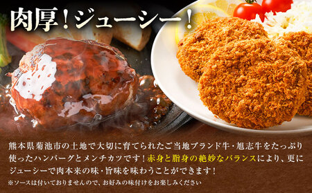 旭志牛 ハンバーグ&メンチカツセット 合計900g 110g×5個 70g×5個 有限会社旭志村ふれあいセンター 《90日以内に出荷予定(土日祝除く)》ハンバーグ メンチカツ セット 牛肉 豚肉 肉 和牛 ブランド牛 惣菜 おかず 冷凍食品 菊池市産 旭志産 冷凍 送料無料