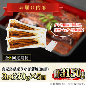 ＜定期便・全5回＞東串良町 うなぎ 蒲焼 (無頭)(3尾・計約630g・タレ、山椒付×5回) 高級 ウナギ 鰻 国産 たれ 鹿児島 ふるさと 人気【アクアおおすみ】【1004306b】