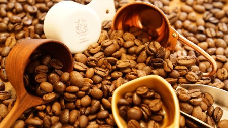 【山の焙煎所】スペシャルティコーヒー160g×2種：豆　中煎り 158-003-豆-中