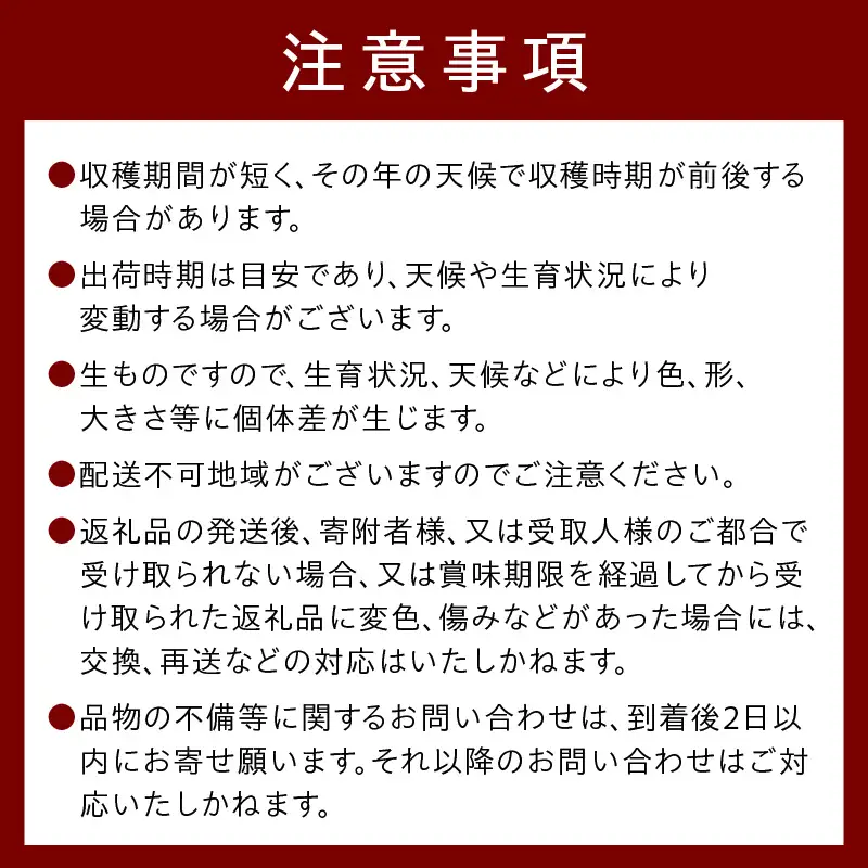 【数量限定 先行予約 幻のメロン】新芳露 2玉 シンホウロメロン