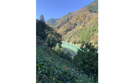 すっきりとした味わい！ シングルオリジン手摘みの和紅茶 中井侍紅茶2袋セット
