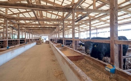 佐賀牛 ロース すき焼き＋佐賀牛ロース しゃぶしゃぶ _c-13