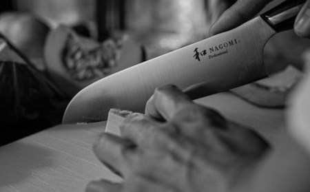 和 NAGOMI Professional三徳包丁