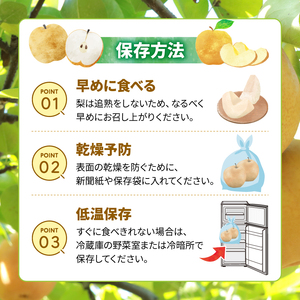 【2026年8月中旬頃から発送】 梨 5kg 豊水 梨 IDG