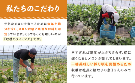 テレビで紹介されました！【2026年夏発送】北海道 富良野産 赤肉メロン 2玉 計3.2kg以上 大玉サイズ メロン