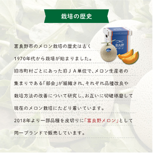 【2026年8月発送】JAふらの 赤肉メロン 2玉 計4kg 富良野市 メロン フルーツ 果物 