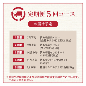【2026年7月発送開始】フルーツ定期便 5回 食べきりセット　訳あり品含む | フルーツ定期便