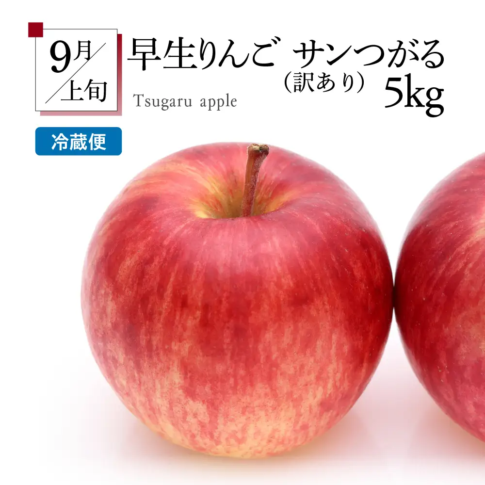【2026年8月発送開始】フルーツ定期便 5回 りんごモリモリセット 訳あり品含む | フルーツ定期便
