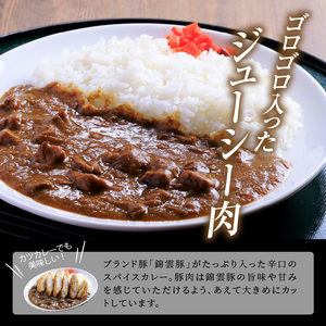 【ブランド豚肉】お米育ちの錦雲豚　お肉ゴロゴロ！ポークカレー（辛口）6食_FN1102