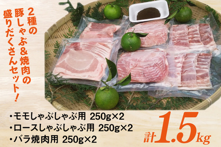 【宮崎ブランドポーク】へべす豚 焼肉 (バラ) & 豚しゃぶ (モモ・ロース) 計1.5kg [JAみやざき 日向肉豚部会 宮崎県 日向市 452061386]
