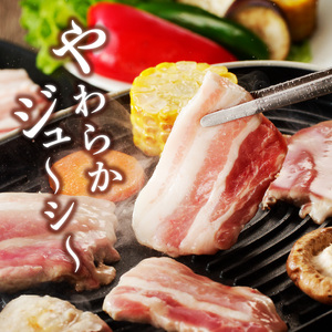 【宮崎ブランドポーク】豚バラ焼肉1kg N061-YA4417