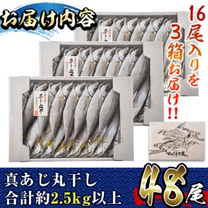 国産真あじ丸干し(計48尾・16尾×3箱：計2.5kg以上)干物 鯵 セット 魚 魚介類 簡単 調理 冷凍【E-21】【水永水産】