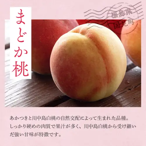 透過式光センサーまどか桃 特秀5kg相当 15玉～18玉＜ ふくしま未来農業協同組合 ＞ | ふくしま 桃 福島 もも 国見 モモ ※2026年8月上旬～8月中旬頃に順次発送予定 ※沖縄・離島への配送不可