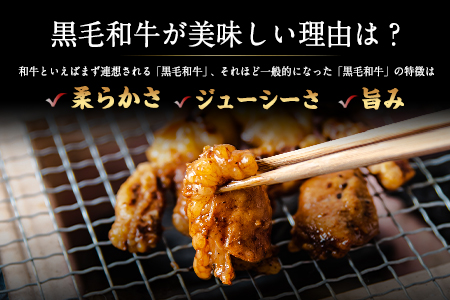 黒毛和牛ホルモン800g(200g×4袋) ブランド牛 有限会社トップルーフ《60日以内に出荷予定(土日祝除く)》
