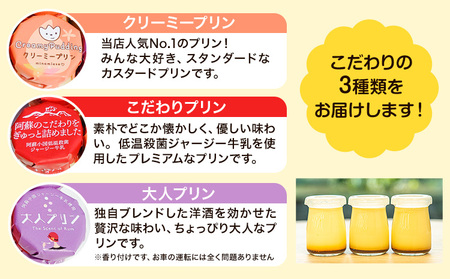 プリン 南阿蘇のプリン専門店 キャラメルプディング 人気プリン3種×3個セット 計9個お届け《60日以内に出荷予定(土日祝除く)》プリン 南阿蘇こだわりプリン 大人プリン クリーミープリン 手作り 阿蘇小国ジャージー牛乳 お菓子 スイーツ お土産