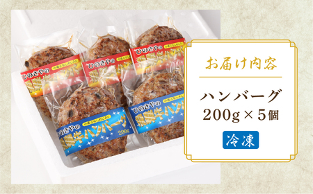 飛騨小坂ぶなしめじ入り  飛騨牛ハンバーグ（200g×5個）【72-1】