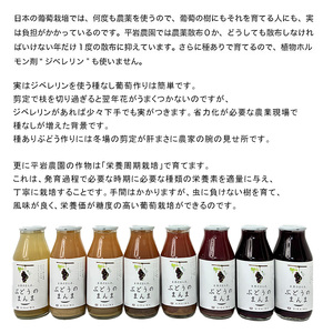 幸田町産ぶどう使用（無添加、無糖、無加水）100％ジュース 多種類 6本詰め合わせ 180ml×6本 合計1080ml ｜ ぶどうジュース 葡萄ジュース 巨峰 デラウェア 甲斐路 ベリーA セミヨン ナイアガラ アレキサンドリア コンコード 種ぶどう 愛知県 幸田町