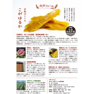 【先行受付】期間限定 完熟ほしいも こがはるか 計1kg（200g×5袋） _CM02