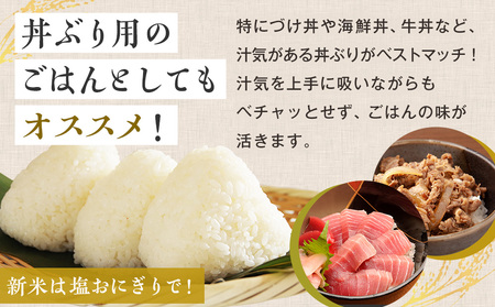【令和8年産・早期予約受付】北海道産 津別町あっぱれ米（精米）金印 10kg | 米 お米 新米 白米 精米 国産米 農家直送 産地直送 北海道 津別町 送料無料