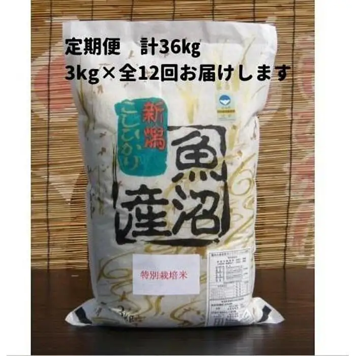 【令和７年産】12か月定期便　がんこおやじが作った南魚沼産コシヒカリ白米３kg【定期便 銘柄米 ブランド米 精米 こしひかり コシヒカリ 魚沼産 新潟米 産地直送 お米 米 こめ コメ ご飯 御飯 ごはん】