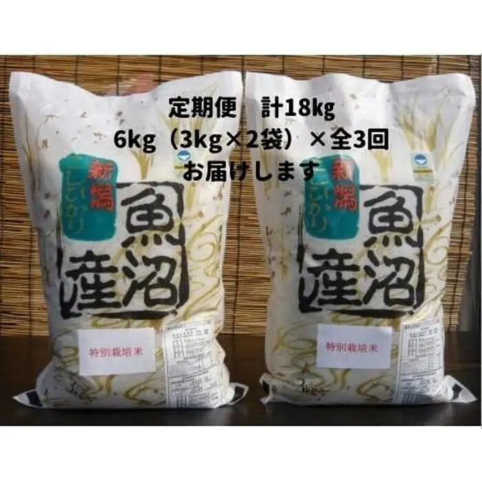【令和７年産】３か月定期便　がんこおやじが作った南魚沼産コシヒカリ白米６kg（３kg×２袋）【定期便 銘柄米 ブランド米 精米 こしひかり コシヒカリ 魚沼産 新潟米 産地直送 お米 米 こめ コメ ご飯 御飯 ごはん】