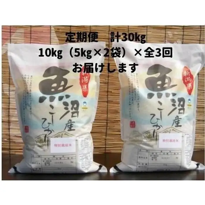 【令和７年産】３か月定期便　がんこおやじが作った南魚沼産コシヒカリ白米１０kg（５kg×２袋）【定期便 銘柄米 ブランド米 精米 こしひかり コシヒカリ 魚沼産 新潟米 産地直送 お米 米 こめ コメ ご飯 御飯 ごはん】