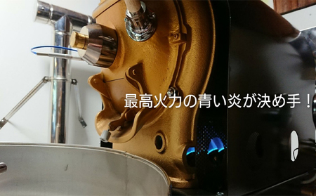 ロースターお勧め3種セット（雫・シダモ・グァテマラ） コーヒー豆 珈琲豆 コーヒー粉 珈琲 コーヒー  豆