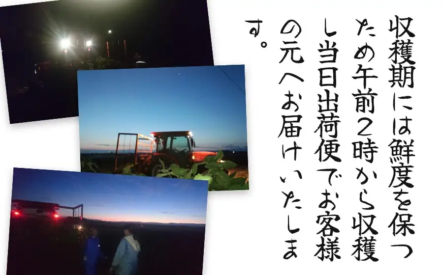 【令和8年産先行予約】”元祖”森屋藤十郎の白山産だだちゃ豆「晩生」　1kg（500g×2袋） 鶴岡特産 K-831