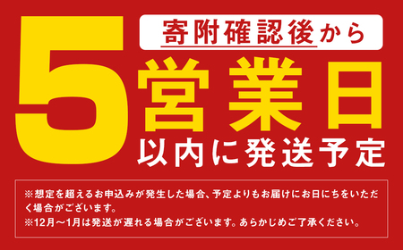 冷凍ちゃんぽん・皿うどん 合計6食セット 各3袋×2種類 具材付き