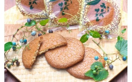 鮎8個・みかんサブレ9枚 詰め合わせセット　クッキー サブレ 焼き菓子 菓子 お菓子 餡 ギフト【fks107A】