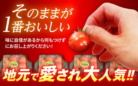 愛果菜ミニトマト9P×1セット / トマト とまと ミニトマト プチトマト 愛果菜 / 諫早市 / 愛菜ファーム株式会社 [AHAK001]